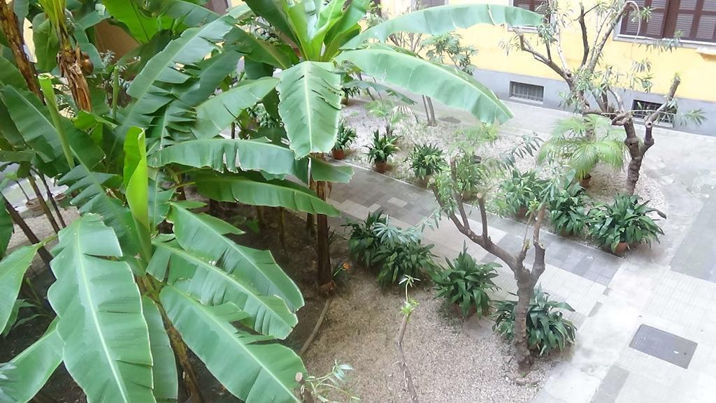 Bed And Breakfast Adduci'S House Roma Ngoại thất bức ảnh