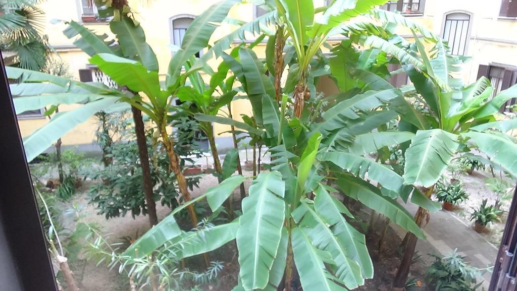 Bed And Breakfast Adduci'S House Roma Ngoại thất bức ảnh